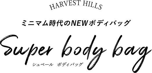 ミニマム時代のNEWボディバッグ