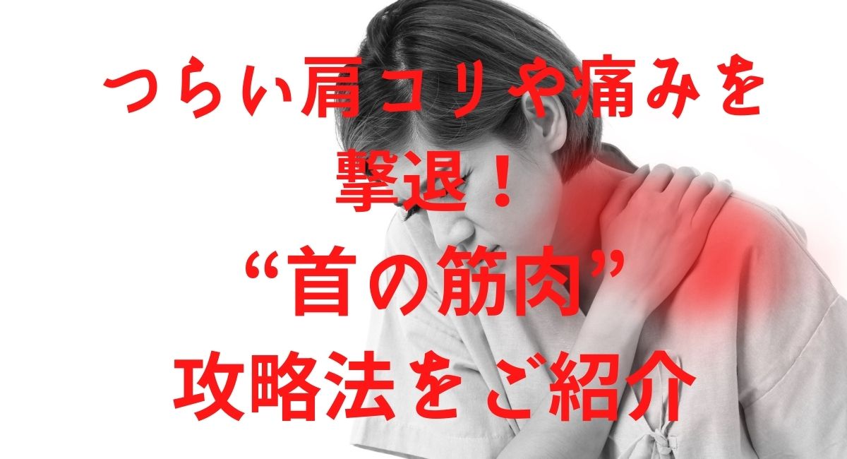 つらい肩コリや痛みを撃退 首の筋肉 攻略法をご紹介 Harvest Hills つらい肩コリや痛みを撃退 首の筋肉 攻略法をご紹介 Harvest Hills